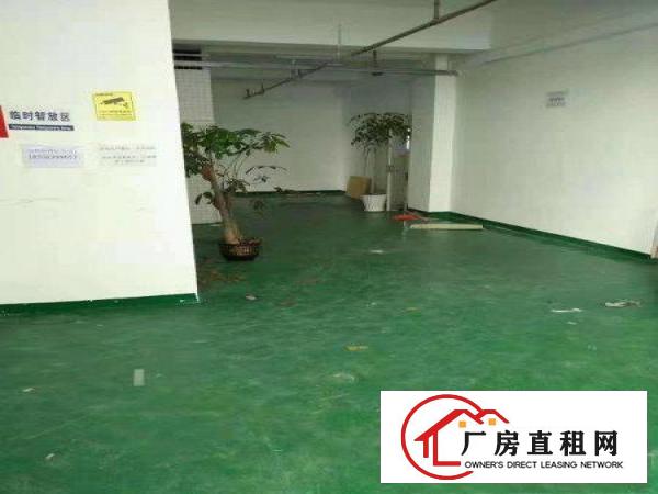 
		上雪科技园楼上1500平实用高带简单装修出租
	