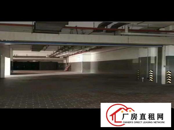 
		龙岗坂田新出4S店出租7900平广场3000平
	