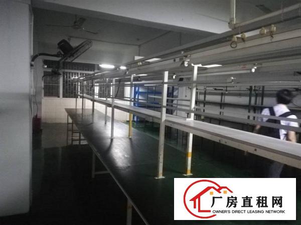 
		上雪科技园厂房2000平，200平起出租
	