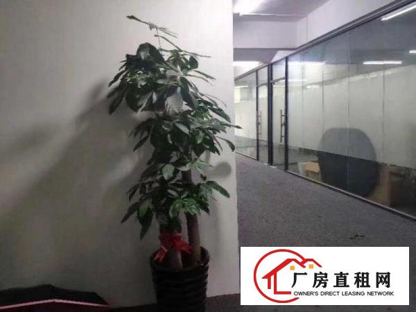 
		五和地铁口精装修厂房215平，拎包入住
	