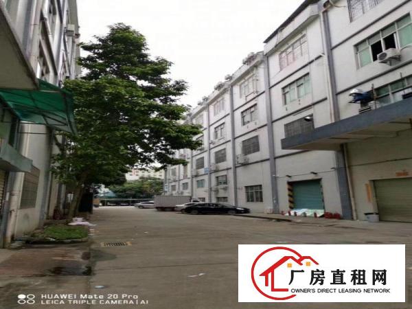 
		坂田独院厂房150至2260平，大小分租，价格无底线！
	
