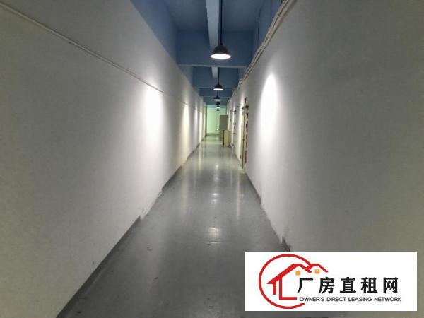 
		坂田独院厂房150至2260平，大小分租，价格无底线！
	