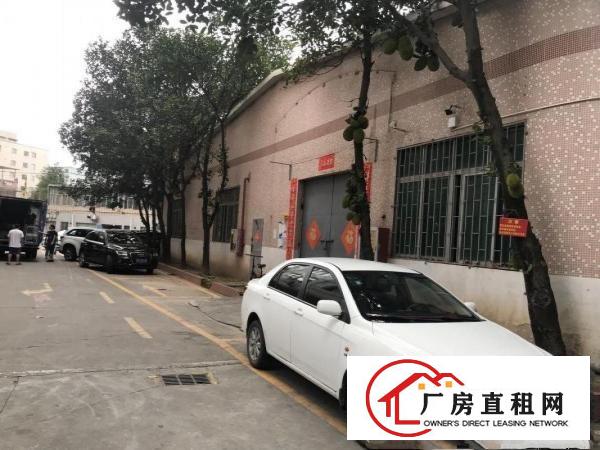 
		坂田特价一楼30块，适合各行各业，无污染，无噪音等行业！
	