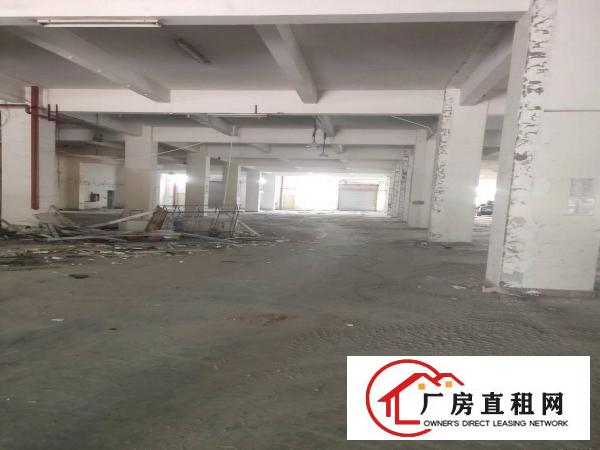 
		坂田上李朗独栋厂房300平米起大小分租车位足仓库电商电子等等
	