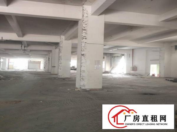 
		坂田上李朗独栋厂房300平米起大小分租车位足仓库电商电子等等
	