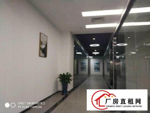 
		坂田高端风格电商办公楼80平200.500平起
	