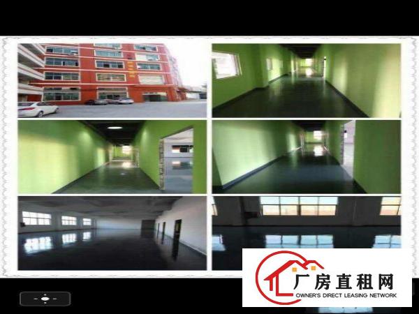 
		坂田地铁110.200.300.500平方出租
	