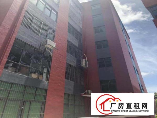 
		业主直租，可分租可整租，本公司大量物业，欢迎前来咨询
	