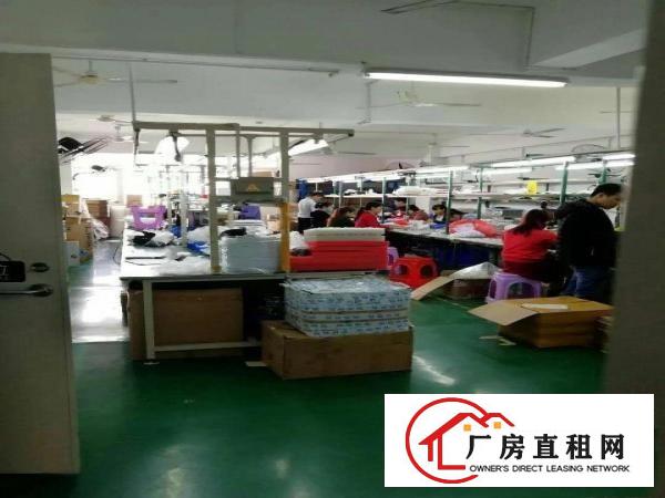 
		坂田龙壁带装修200.300.500平大小可以分
	