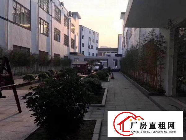 
		实用率高五和南坑光雅园办公厂房200至2000平
	