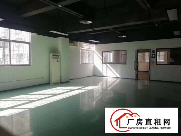 
		实用率高五和南坑光雅园办公厂房200至2000平
	