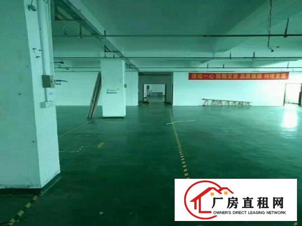 
		坂田上雪科技园带装修200~2000平，适合电商外贸电子等
	