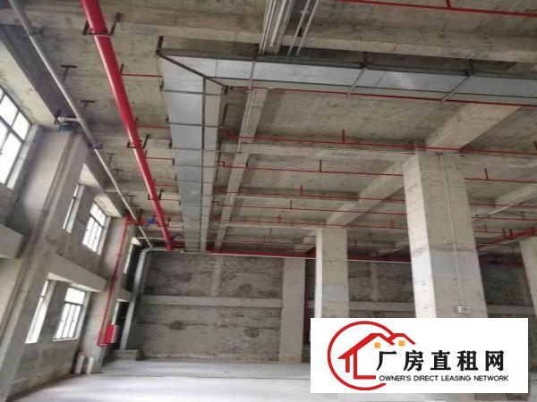 
		坂田天安云谷旁原房东红本厂房高新技术园区9000平，可分租
	