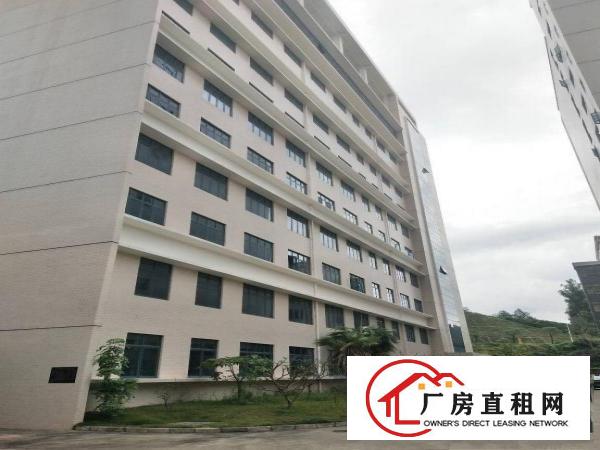 
		坂田业主独院六层科技园重工业红本厂房出租层高8.5米可分租！
	
