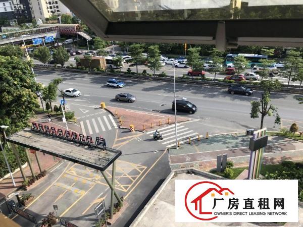 
		业主直租~教育培训招课程辅导早教舞蹈旁边30所学校
	