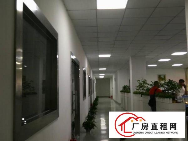 
		全新装修2000平，无需转让费，办公电商！
	