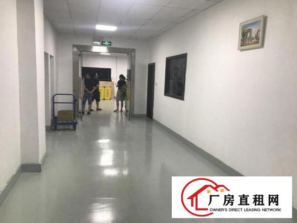 
		全新装修2000平，无需转让费，办公电商！
	