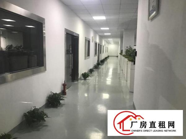 
		全新装修2000平，无需转让费，办公电商！
	