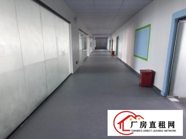 
		吉华路边带装修100200300500平出租
	
