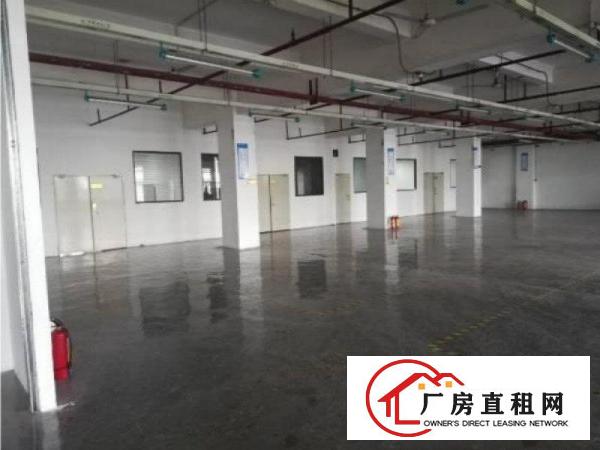 
		深圳坂田中心地段新出一楼仓库1080平方可分租
	
