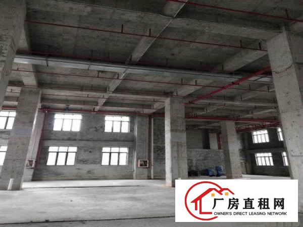 
		坂田1000平红本产权厂房出租健康科技园孵化器，层高8.5米
	