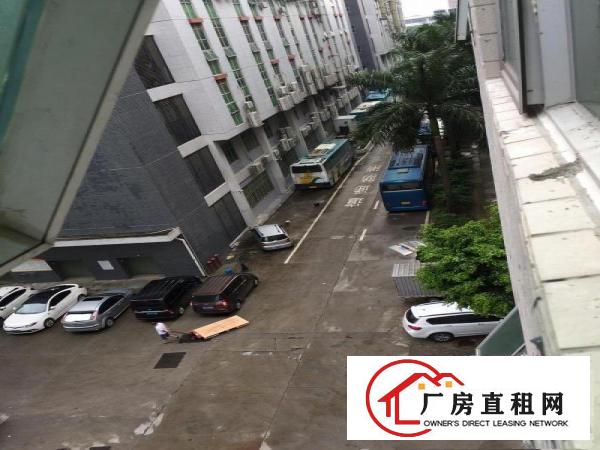 
		吉华路边带装修办公楼厂房出租实图拍摄
	