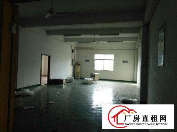 
		碧岭新沙路新出楼上1150平带装修厂房出租
	