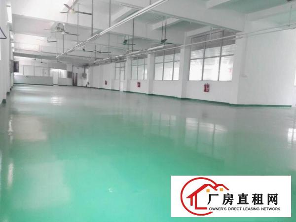 
		田心同富裕工业新出现成精装修厂房460平招租
	