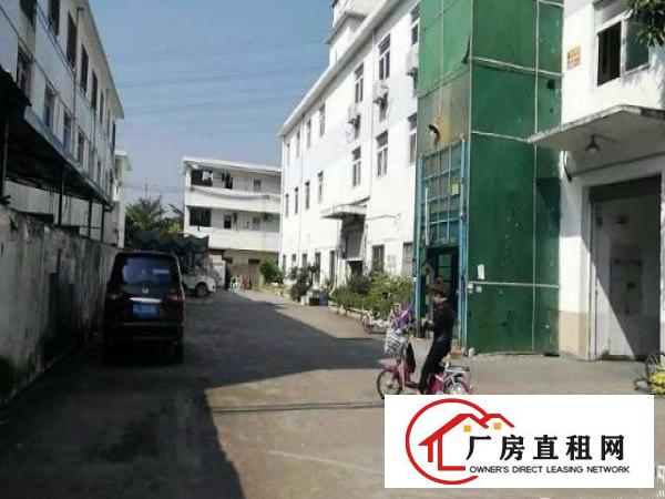 
		坪山碧岭楼上无公摊450平方厂房急租
	