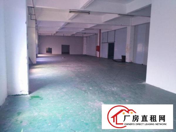 
		碧岭新出送精装修二楼1560平厂房出租（可分租）
	