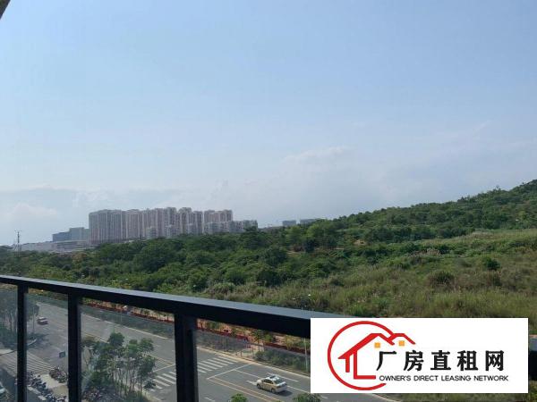 
		坪山新区聚龙山公园320平精装修可用电商贸易研发办公小型生产
	