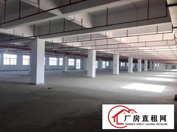 
		坪山大工业区红本3楼2000平厂房出租500平起分租
	