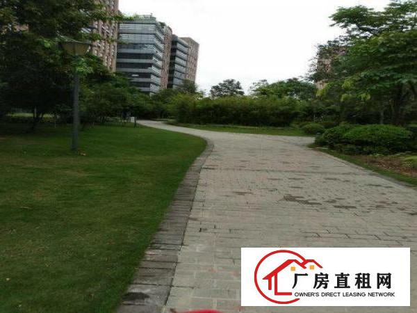
		（享高新补贴）坪山医疗厂房新增二楼3000平招租（可分）
	