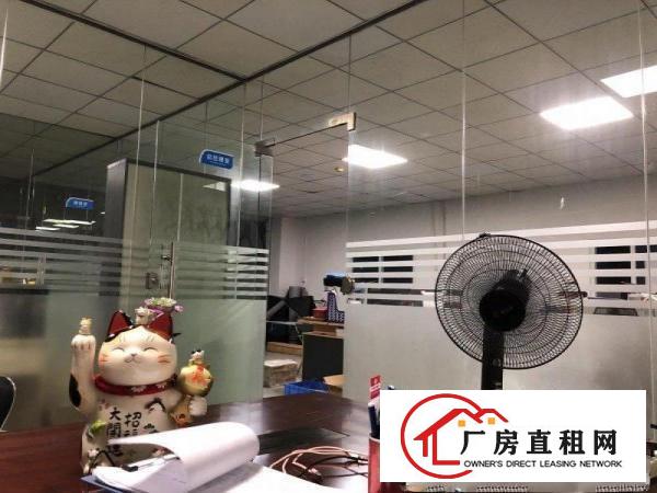 
		坪山精装修300平米，价格周边低，电商，贸易，小型生产
	