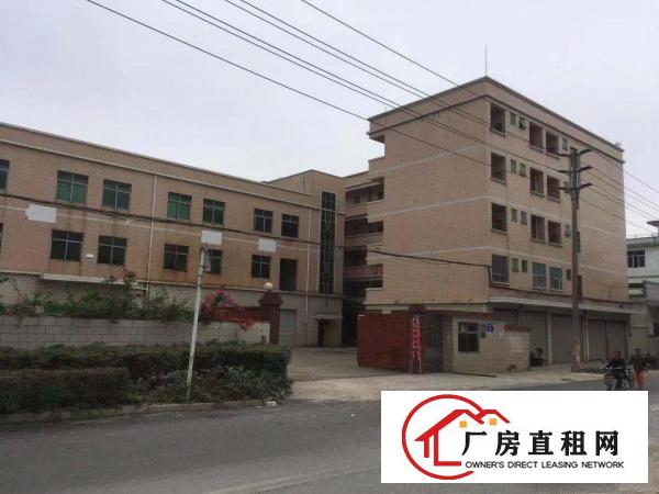 
		现房！！！坪山碧岭红本工业厂房5670平招租（可分租）
	