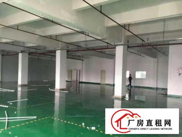 
		龙岗宝龙原房东二楼厂房2250平整层带装修招租(可分租)
	