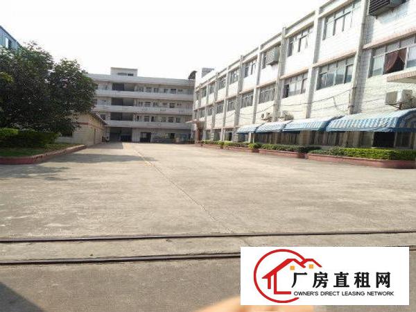 
		坪山碧岭新沙路新出二楼600平厂房低一价招租
	
