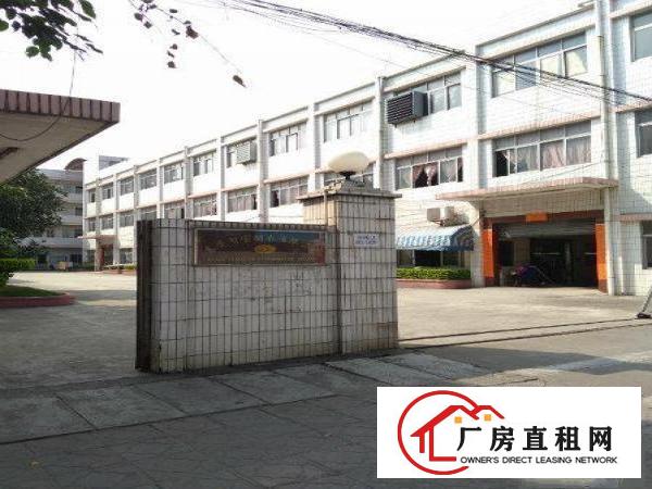 
		坪山碧岭新沙路新出二楼600平厂房低一价招租
	