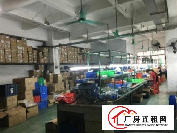 
		出租坪山新区深汕路独院4800平方标准厂房
	