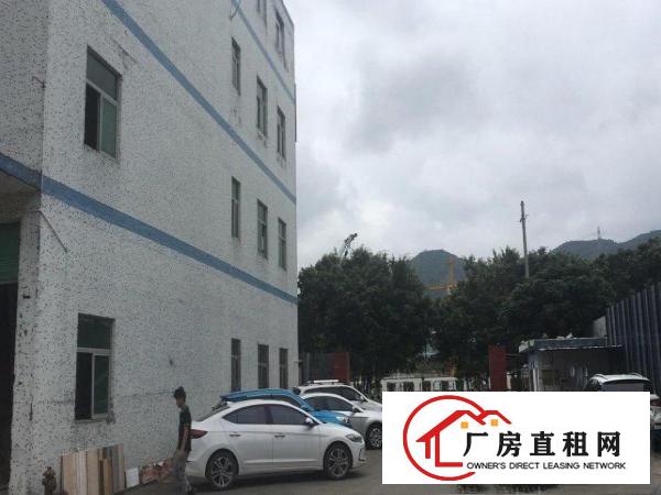 
		坪山深圳坪山大道（汤坑段）路厂房1550平米
	
