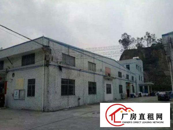 
		出租坪山新区三洋湖原房东钢构厂房2100平方米
	