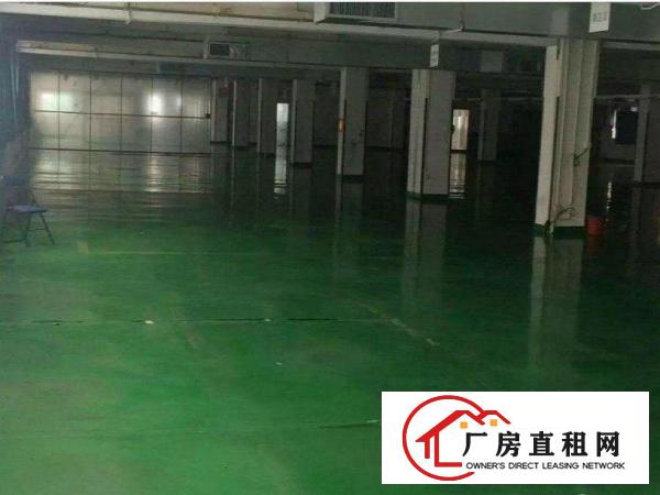
		出租坪山新区三洋湖标准楼上厂房1100平方米
	