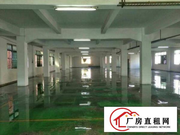 
		出租坪山新区三洋湖楼上带装修厂房1100平米
	