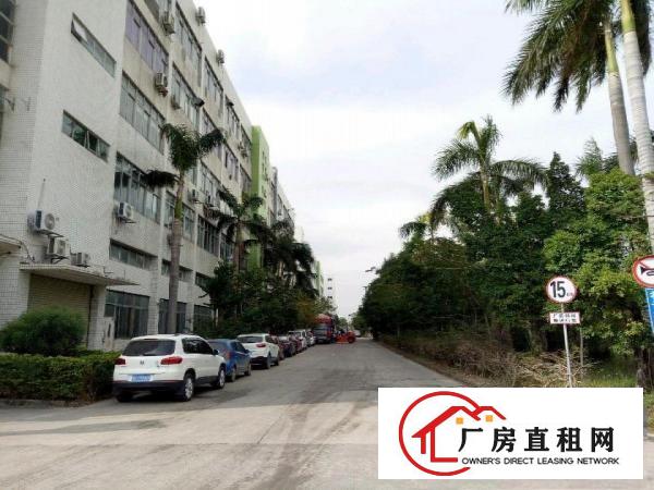 
		坪山竹坑大工业区原房东厂房一楼3800平米
	
