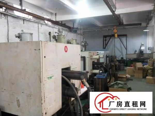 
		坑梓老坑工业区新出独院标准厂房一楼250平招租
	