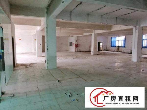 
		坪山碧岭独门独院超大空地厂房成本价出租
	