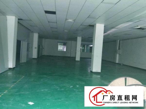 
		坪山新区宝山第三工业区2至4楼各500平方可分租
	
