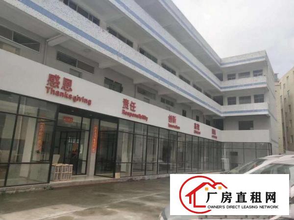 
		碧岭金碧路边厂房2700平米带前台可分租，办公室精装
	