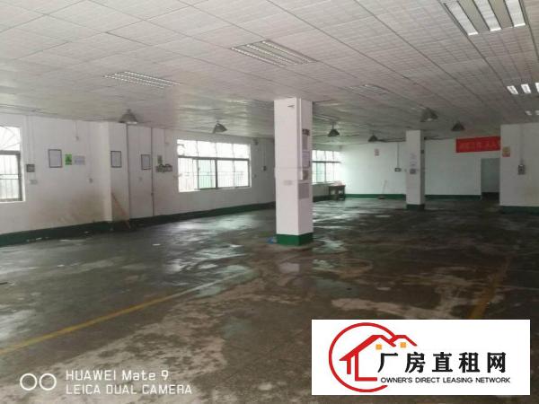 
		碧岭金碧路边厂房2700平米带前台可分租，办公室精装
	