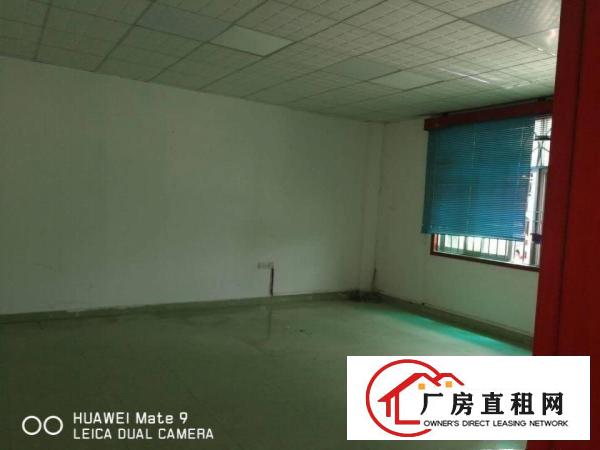 
		碧岭金碧路边厂房2700平米带前台可分租，办公室精装
	